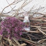 عطر ادکلن هِربَل او لوکسیتان ان پرووانس - Herbae L'Eau L'Occitane en Provence - بررسی، قیمت و خرید