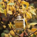 عطر ادکلن لاو استوری کلوئه - Love Story Chloé - بررسی، قیمت و خرید