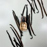 عطر ادکلن اچ اند ام وانیلا کریمی سویتنس اچ اند ام - H&M Vanilla - Creamy sweetness H&M - بررسی، قیمت و خرید