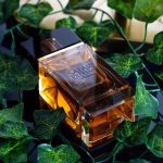 عطر ادکلن سافاری اکستریم عبدالصمد القریشی - Safari Extreme Abdul Samad Al Qurashi - بررسی، قیمت و خرید