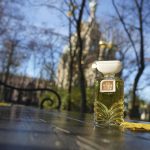 عطر ادکلن وازدوخ آسن سیورنو سییانیه - Воздух Осени (Air of Autumn) Северное сияние - بررسی، قیمت و خرید
