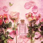 عطر ادکلن باهینا ماتر پارفومور اِ گنتیه - Bahiana Maitre Parfumeur et Gantier - بررسی، قیمت و خرید