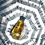 عطر ادکلن سونات زنیتارس - Sonate (Соната) Dzintars - بررسی، قیمت و خرید