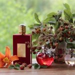 عطر ادکلن عامرات العرب آسدف - Ameerat Al Arab Asdaaf - بررسی، قیمت و خرید