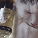 عطر ادکلن میلکی ماسک 39 پارل موا د پارفوم - Milky Musk 39 Parle Moi de Parfum - بررسی، قیمت و خرید