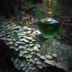 عطر ادکلن مادام دو مونتسپان پرفیوم دو چاتو دو ورسای - Madame de Montespan Parfums du Château de Versailles - بررسی، قیمت و خرید