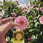 عطر ادکلن لا روز ژاکمینوت کُتی - La Rose Jacqueminot Coty - بررسی، قیمت و خرید