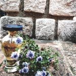 عطر ادکلن کیسمت لوبین - Kismet Lubin - بررسی، قیمت و خرید