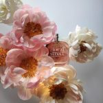عطر ادکلن واندرلند پئونی فلورال استریت - Wonderland Peony Floral Street - بررسی، قیمت و خرید