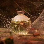 عطر ادکلن نوا فلور کاشرل - Noa Fleur Cacharel - بررسی، قیمت و خرید