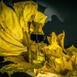 عطر ادکلن فیدیجی او دو پرفیوم گای لاروش - Fidji Eau de Parfum Guy Laroche - بررسی، قیمت و خرید