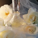 عطر ادکلن وایت رز نچرال شیسیدو - White Rose Natural Shiseido - بررسی، قیمت و خرید