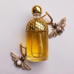 عطر ادکلن آکوا الیگوریا یلانگ وانیل گرلن - Aqua Allegoria Ylang & Vanille Guerlain - بررسی، قیمت و خرید