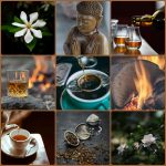 عطر ادکلن د بودها وود باکس فورتی سیکس سیکس تیزدیز - The Buddhawood Box 4160 Tuesdays - بررسی، قیمت و خرید
