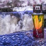 عطر ادکلن اتراکشن آویکن فور هر اوون - Attraction Awaken For Her Avon - بررسی، قیمت و خرید