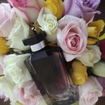 عطر ادکلن استلا استلا مک‌کارتنی - Stella Stella McCartney - بررسی، قیمت و خرید