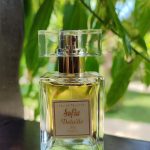 عطر ادکلن سوفیا دیتیل - Sofia Detaille - بررسی، قیمت و خرید
