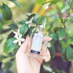 عطر ادکلن فلور دو رانژه فراگنارد - Fleur d'oranger Fragonard - بررسی، قیمت و خرید