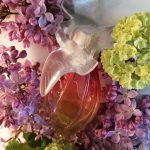 عطر ادکلن ل ایر دو تان ل ایر دو پرنتان نینا ریچی - L'Air du Temps L'Air du Printemps Nina Ricci - بررسی، قیمت و خرید