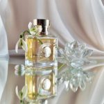 عطر ادکلن ورساچه پوره فم ورساچه - Versace Pour Femme Versace - بررسی، قیمت و خرید
