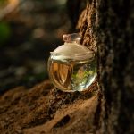 عطر ادکلن نوا فلور کاشرل - Noa Fleur Cacharel - بررسی، قیمت و خرید