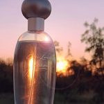 عطر ادکلن پلژرز استی لودر - Pleasures Estée Lauder - بررسی، قیمت و خرید