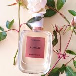 عطر ادکلن آ کاپلا روس اند روس - A Capella Roos & Roos - بررسی، قیمت و خرید