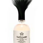 عطر ادکلن وایلانت مودون - Vaillant Moudon - بررسی، قیمت و خرید