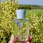 عطر ادکلن ویستریا کرب‌تری اند ایولین - Wisteria Crabtree & Evelyn - بررسی، قیمت و خرید