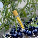 عطر ادکلن پوتز آو برلین ویلهلم پرفیومری - Poets of Berlin Vilhelm Parfumerie - بررسی، قیمت و خرید