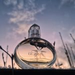 عطر ادکلن لوسیا اوریف‌لیم - Lucia Oriflame - بررسی، قیمت و خرید