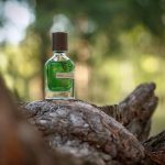 عطر ادکلن وریـده اورتو پاریسی - Viride Orto Parisi - بررسی، قیمت و خرید