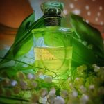 عطر ادکلن ل کرآسیون دِ مونسیر دیور دیوریسیمو ادو پرفیوم دیور - Les Creations de Monsieur Dior Diorissimo Eau de Parfum Dior - بررسی، قیمت و خرید