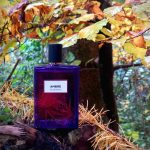 عطر ادکلن آمبر او دو پرفیوم مولینارد - Ambre Eau de Parfum Molinard - بررسی، قیمت و خرید