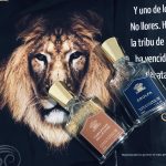 عطر ادکلن اِرولفا کرید - Erolfa Creed - بررسی، قیمت و خرید