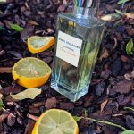 عطر ادکلن او فرش سیتروس پوملو انجل شلسر - Eau Fraîche Citrus Pomelo Angel Schlesser - بررسی، قیمت و خرید