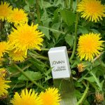 عطر ادکلن آیلند گاردنیا جووان - Island Gardenia Jovan - بررسی، قیمت و خرید