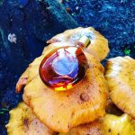 عطر ادکلن جاردنیا جار پرفیومز - Jardenia Jar Parfums - بررسی، قیمت و خرید