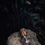 عطر ادکلن نارکوتیک وینوس ناسوماتو - Narcotic Venus Nasomatto - بررسی، قیمت و خرید