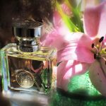 عطر ادکلن ورساچه پوره فم ورساچه - Versace Pour Femme Versace - بررسی، قیمت و خرید