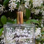 عطر ادکلن جاسمین فرگنارد - Jasmin Fragonard - بررسی، قیمت و خرید