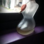 عطر ادکلن کت‌سوت فور وومن کریشن لامیس - Catsuit for Women Creation Lamis - بررسی، قیمت و خرید
