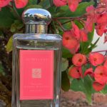 عطر ادکلن ساکورا چری بلوسوم جو مالون لاندن - Sakura Cherry Blossom Jo Malone London - بررسی، قیمت و خرید