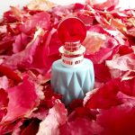 عطر ادکلن میو میو میو میو - Miu Miu Miu Miu - بررسی، قیمت و خرید