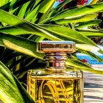 عطر ادکلن تیاره اورموند جین - Tiare Ormonde Jayne - بررسی، قیمت و خرید