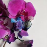 عطر ادکلن لومیر اورجینال روچاس - Lumiere Original Rochas - بررسی، قیمت و خرید
