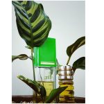 عطر ادکلن ما گریفی او دو پرفیوم کاروِن - Ma Griffe Eau de Parfum (Vintage) Carven - بررسی، قیمت و خرید