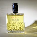عطر ادکلن هابانیتا لا کلون مولینار - Habanita La Cologne Molinard - بررسی، قیمت و خرید