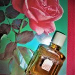 عطر ادکلن کراسنایا روزا نووایا زاریا - Красная Роза (Red Rose) Новая Заря (The New Dawn) - بررسی، قیمت و خرید