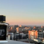 عطر ادکلن الفنت زولوژیست پرفیومز - Elephant Zoologist Perfumes - بررسی، قیمت و خرید